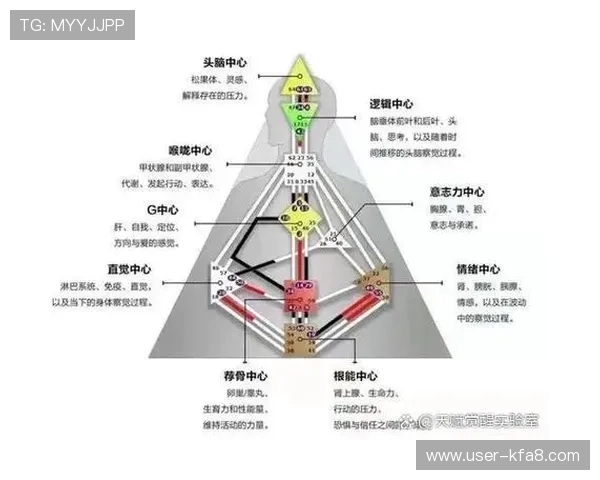 新濠真人在在线娱乐行业中的独特优势分析与展望