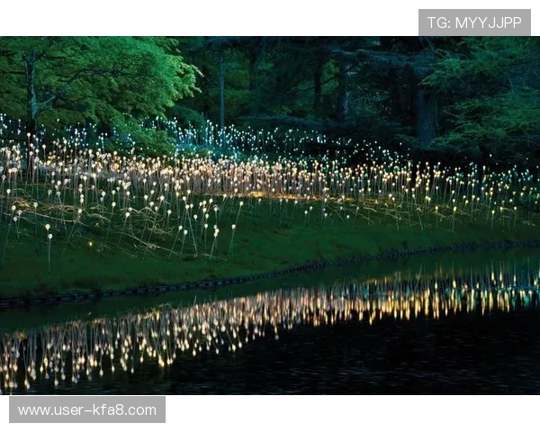 火狐视讯娱乐平台：最新技术支持带来极致的视觉享受